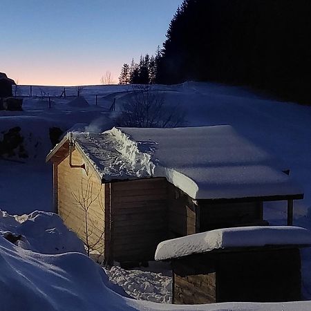 Petit Chalet Nature Les Rousses Buitenkant foto